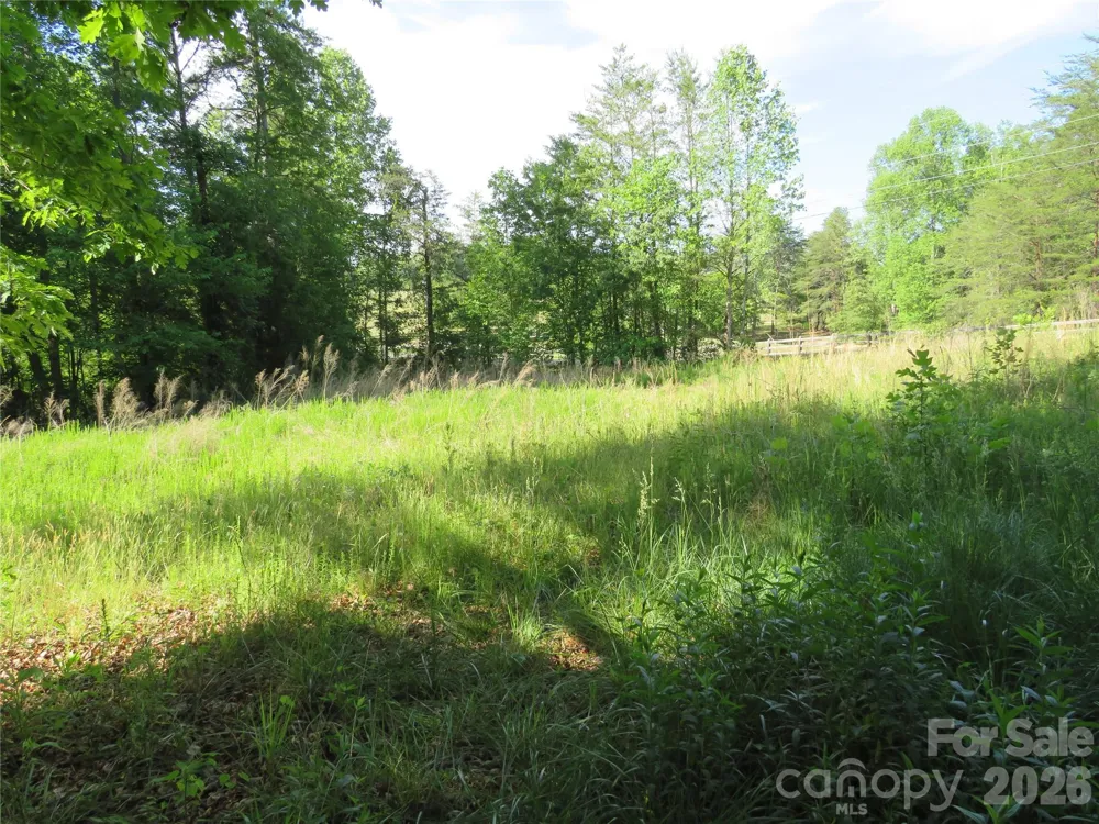 0 Blue Sapphire Lane Rutherfordton, NC 28139