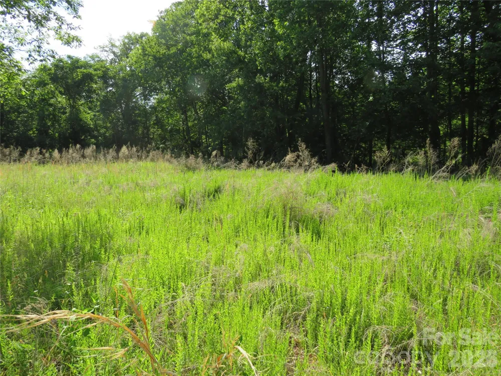 0 Blue Sapphire Lane Rutherfordton, NC 28139
