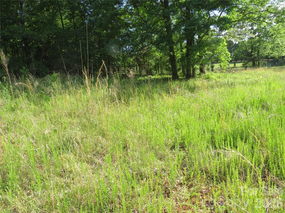 0 Blue Sapphire Lane Rutherfordton, NC 28139