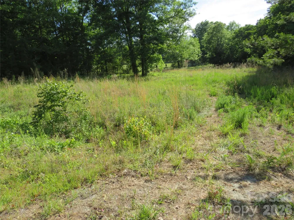 0 Blue Sapphire Lane Rutherfordton, NC 28139