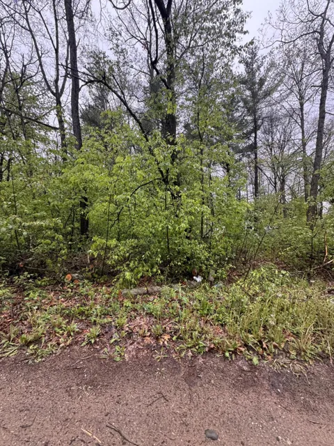 Paw Paw Trail
