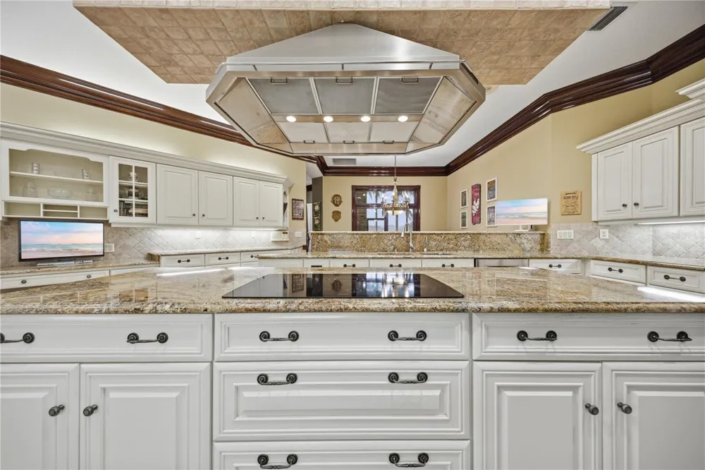 4123 HIGHLAND PARK CIRCLE Lutz, FL 33558
