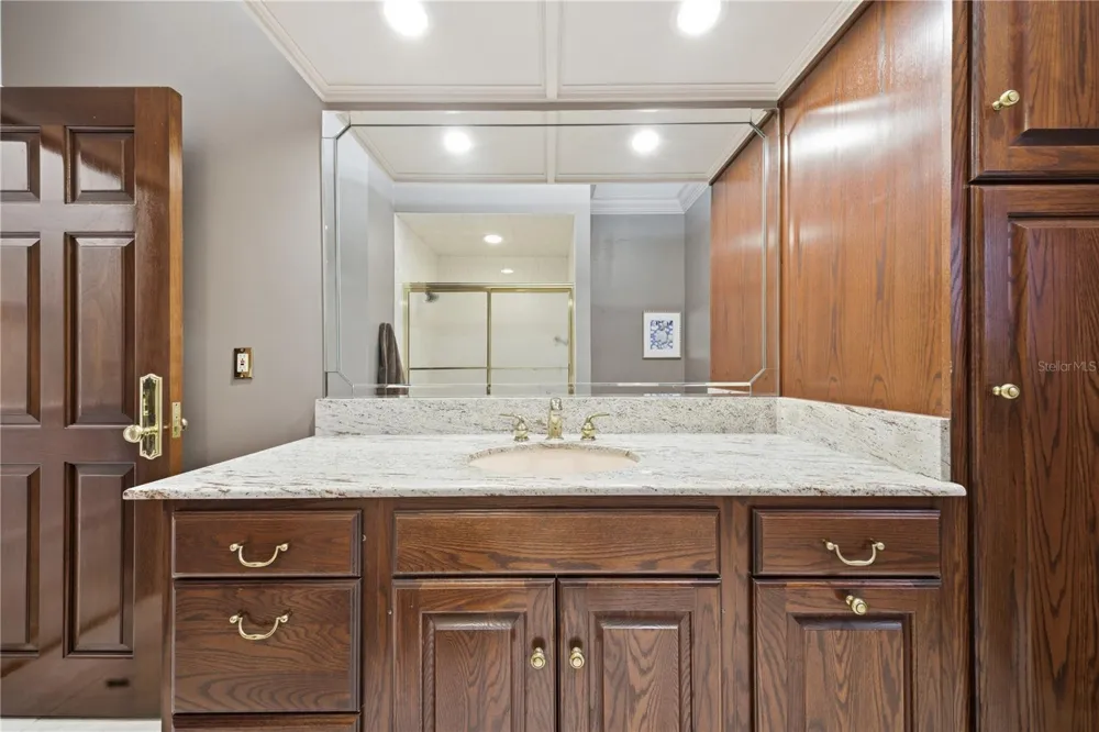 4123 HIGHLAND PARK CIRCLE Lutz, FL 33558