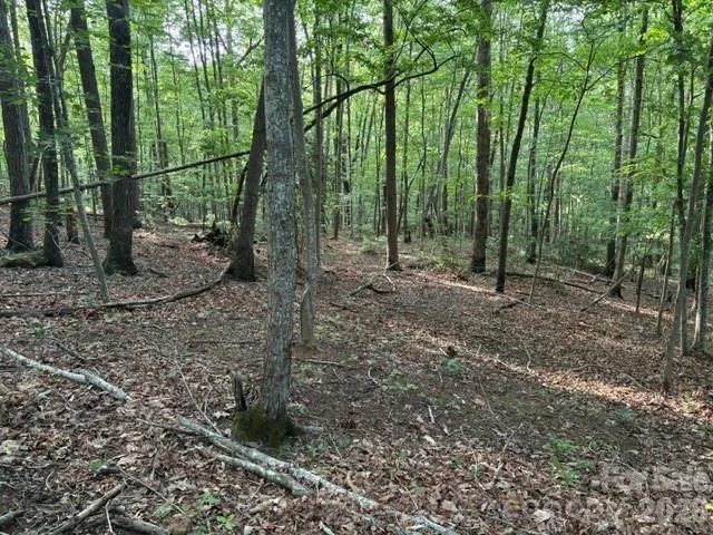 00 Cardinal Circle Tryon, NC 28782