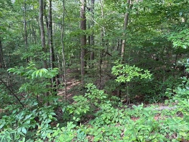00 Cardinal Circle Tryon, NC 28782