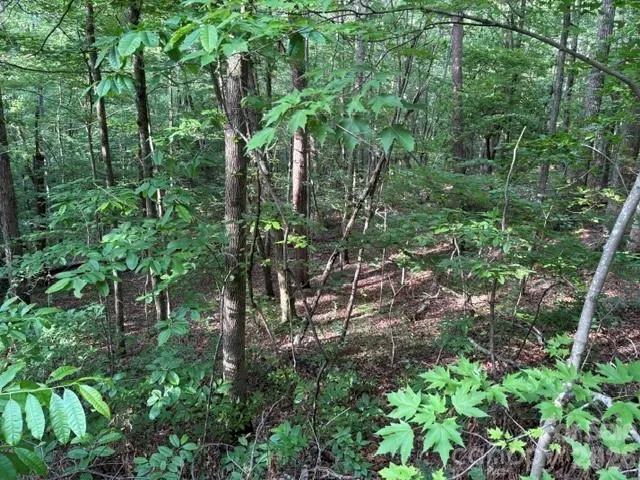 00 Cardinal Circle Tryon, NC 28782