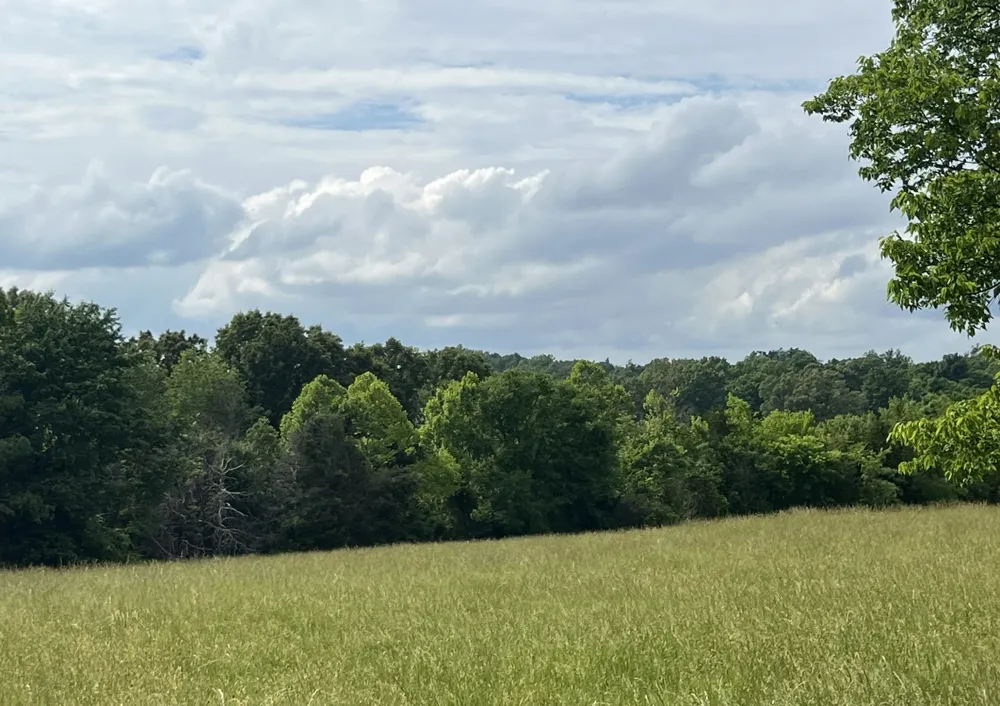 0 W George Durham Rd Westmoreland, TN 37186