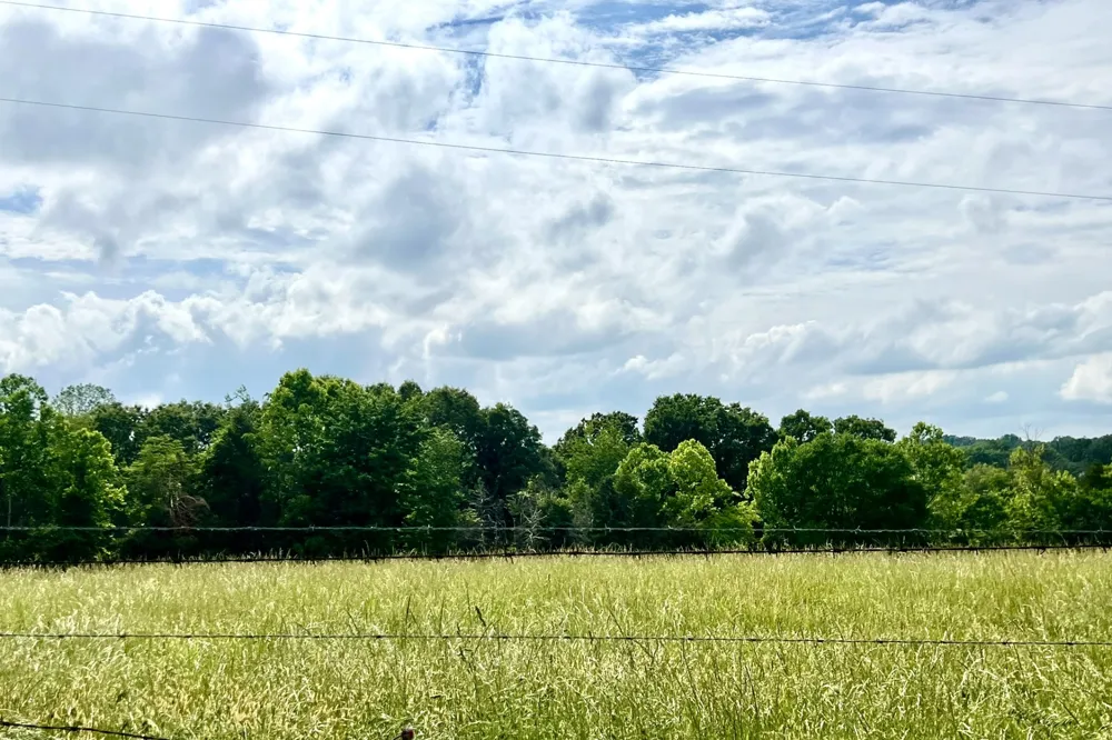 0 W George Durham Rd Westmoreland, TN 37186