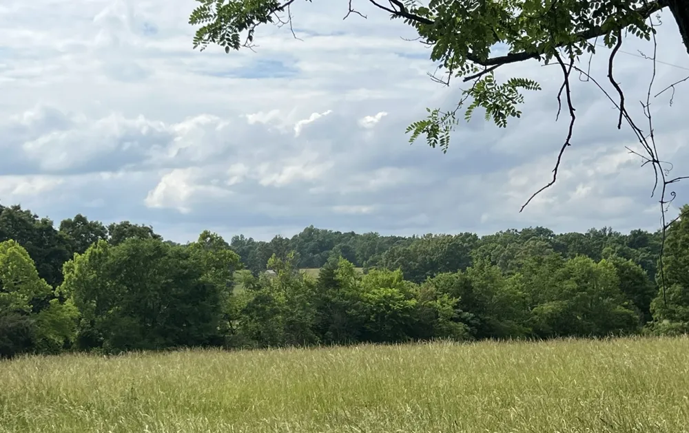 0 W George Durham Rd Westmoreland, TN 37186