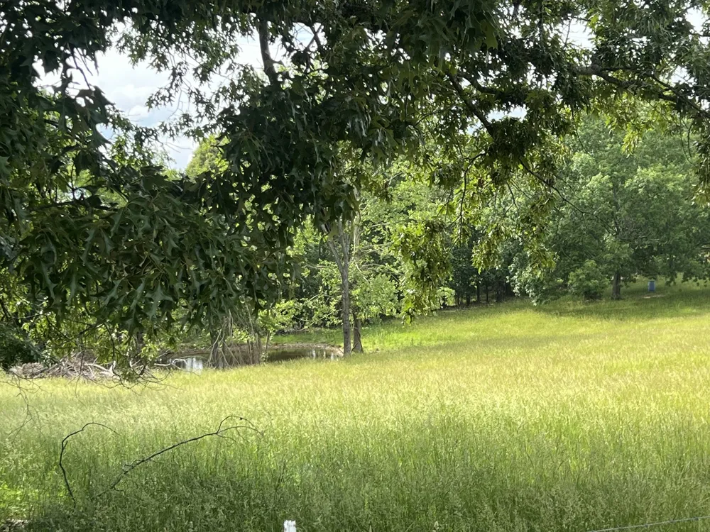 0 W George Durham Rd Westmoreland, TN 37186