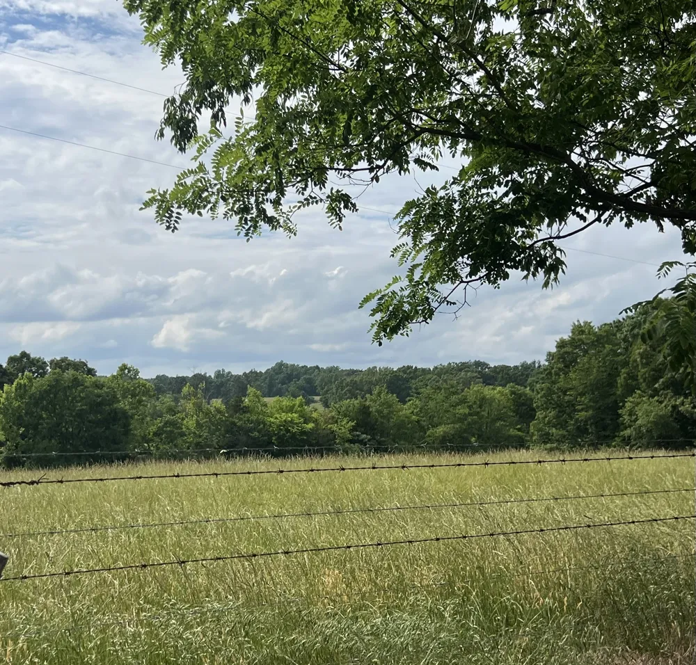 0 W George Durham Rd Westmoreland, TN 37186