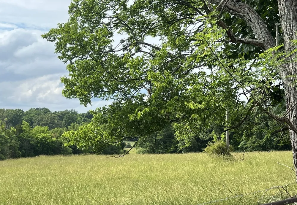 0 W George Durham Rd Westmoreland, TN 37186