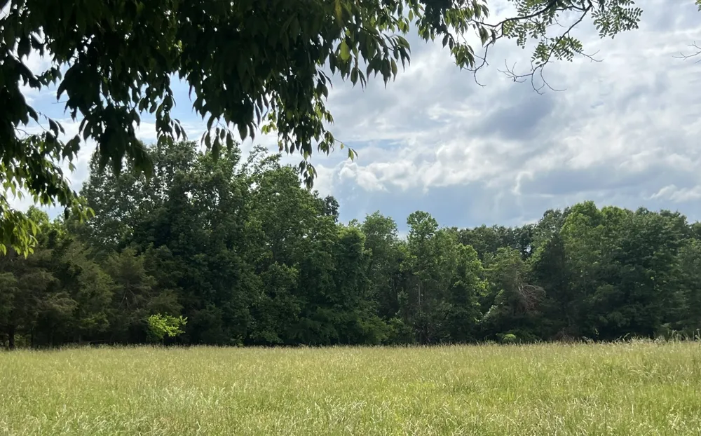 0 W George Durham Rd Westmoreland, TN 37186