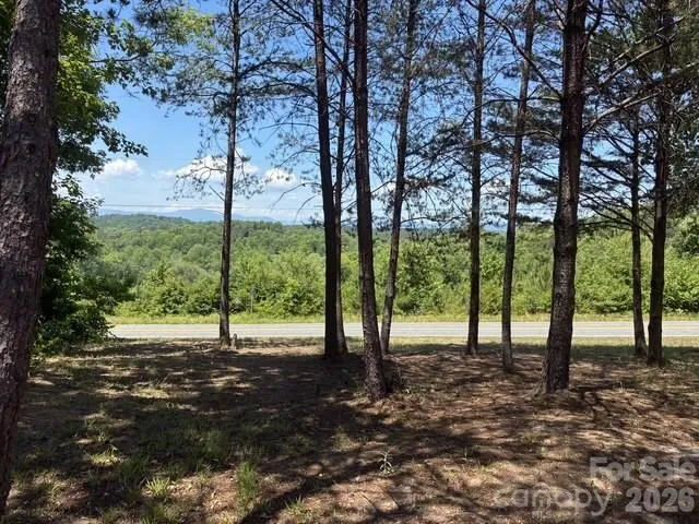 1431 Mountain Creek Road Rutherfordton, NC 28139
