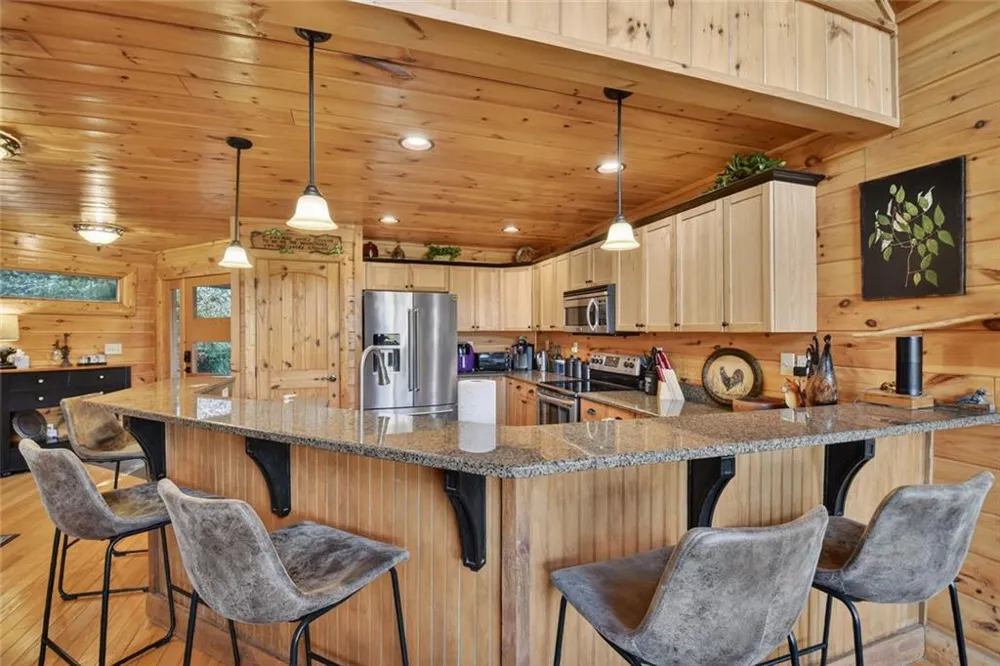 287 Rhonda Lane Mineral Bluff, GA 30559