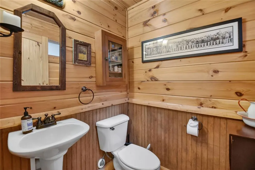 287 Rhonda Lane Mineral Bluff, GA 30559