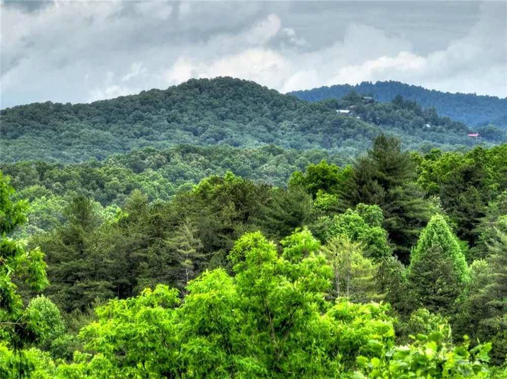 287 Rhonda Lane Mineral Bluff, GA 30559