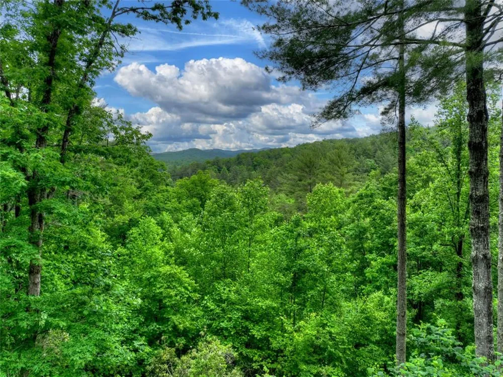 287 Rhonda Lane Mineral Bluff, GA 30559