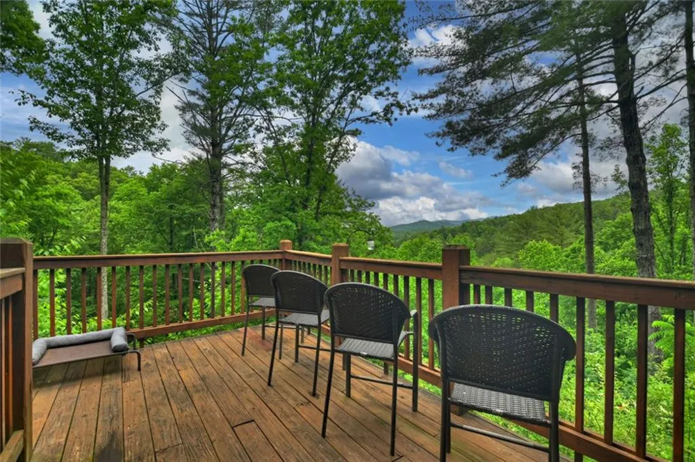 287 Rhonda Lane Mineral Bluff, GA 30559