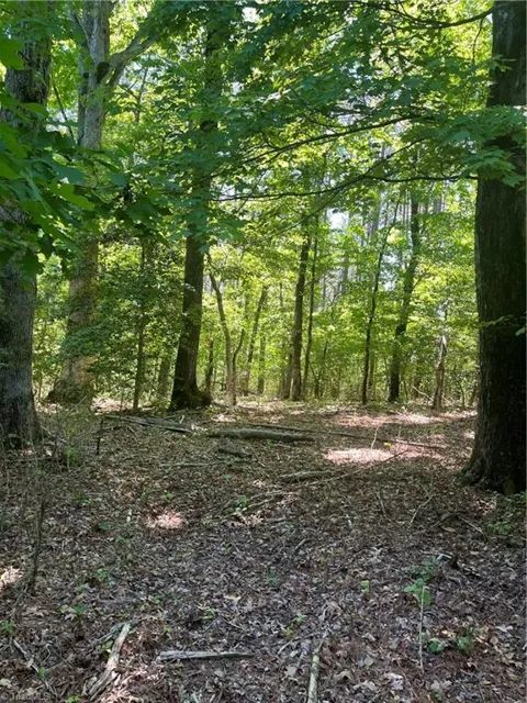 0 Palmer Road