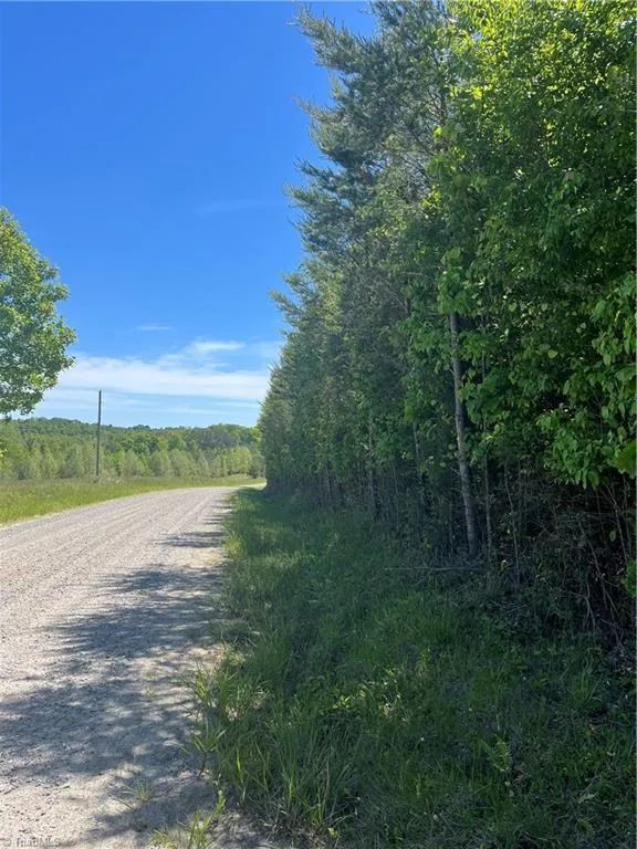 0 Palmer Road Westfield, NC 27053