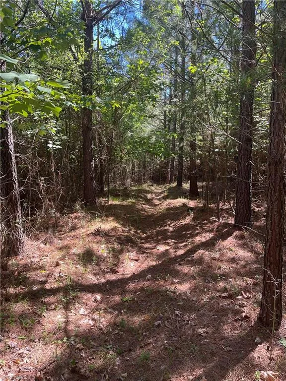 0 Palmer Road Westfield, NC 27053