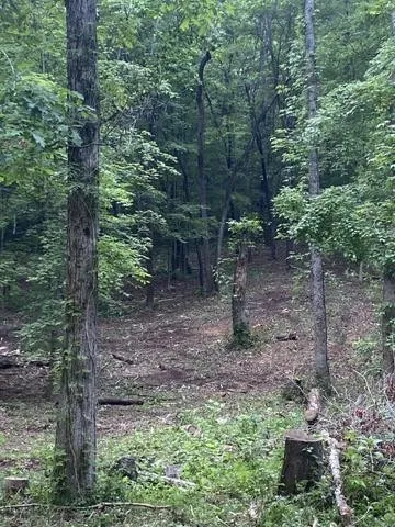 296 County Road 263