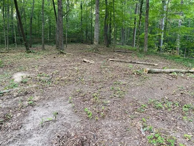 296 County Road 263 Niota, TN 37826