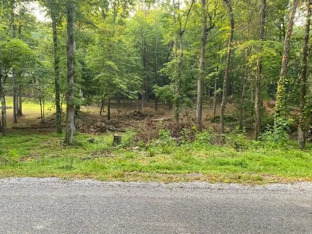 296 County Road 263 Niota, TN 37826