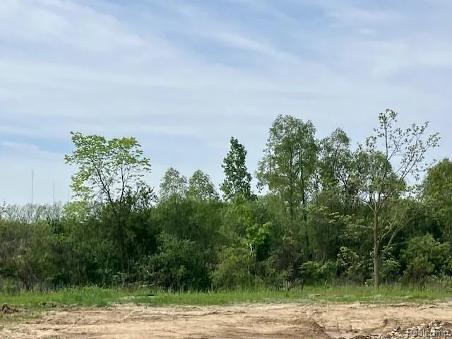 1873 Elizabeth Lane Superior Charter Township, MI 48198