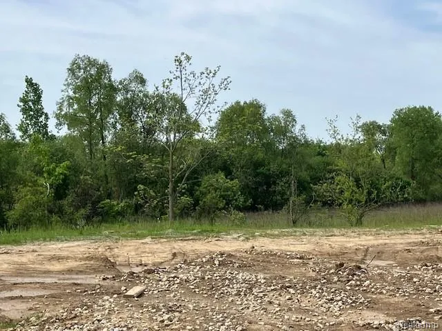 1873 Elizabeth Lane Superior Charter Township, MI 48198
