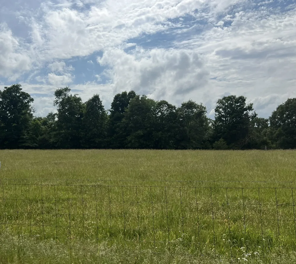 0 Bosham Rd Westmoreland, TN 37186