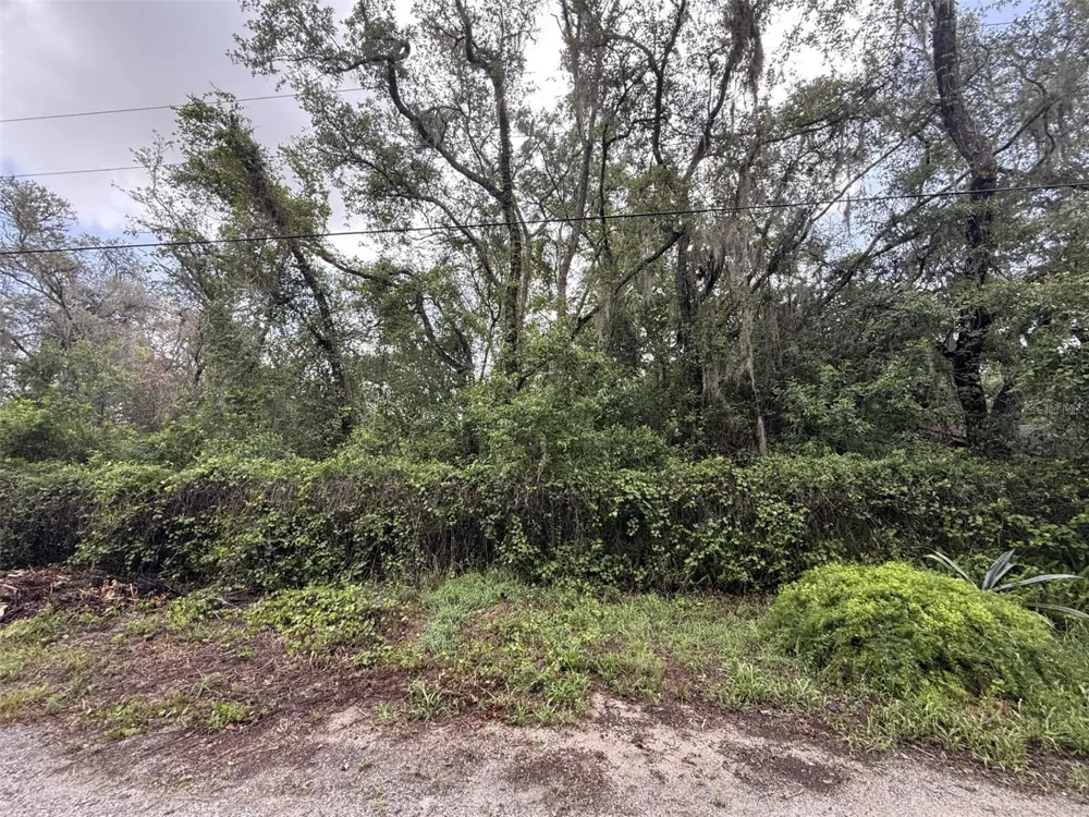 10934 LEON STREET New Port Richey, FL 34654