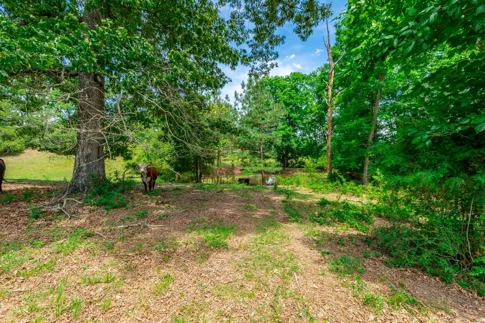 7015 B And K Ranch Road Georgetown, TN 37336