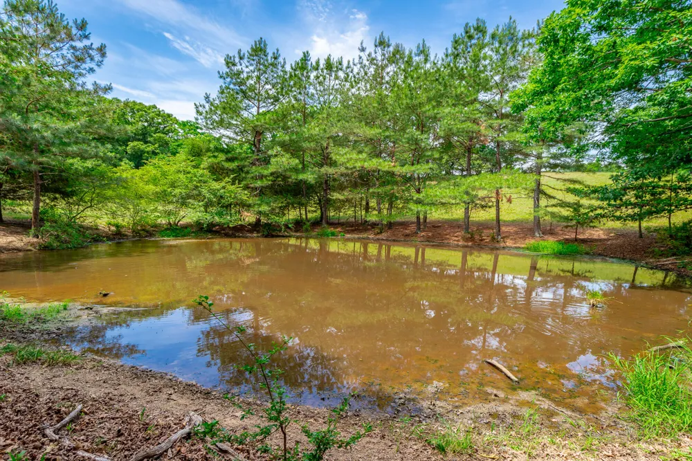 7015 B And K Ranch Road Georgetown, TN 37336