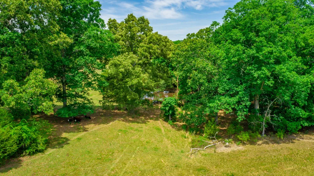 7015 B And K Ranch Road Georgetown, TN 37336