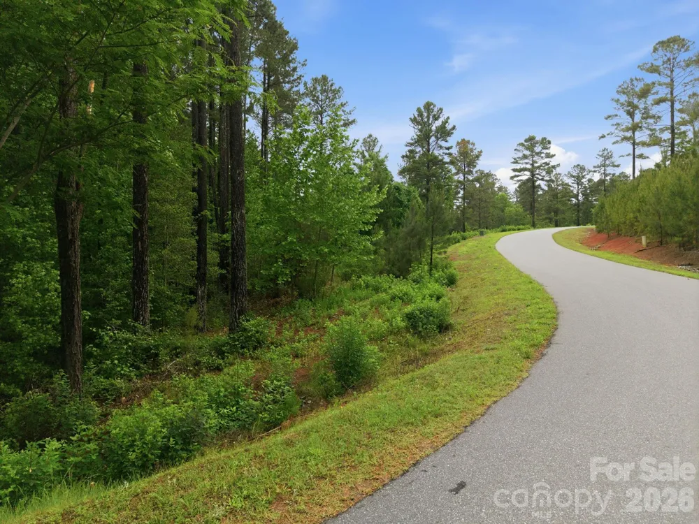 1626 Lake Vista Drive NE Connelly Springs, NC 28612