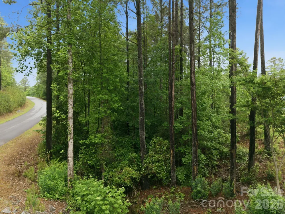 1626 Lake Vista Drive NE Connelly Springs, NC 28612