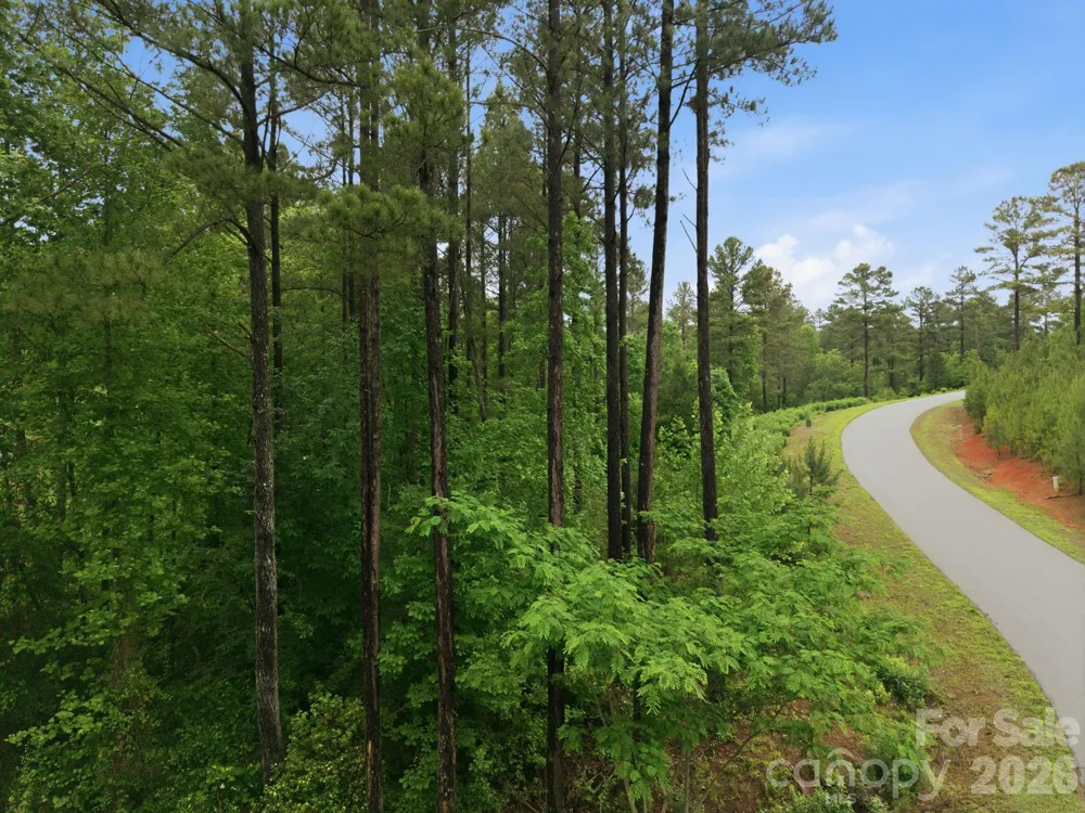 1626 Lake Vista Drive NE Connelly Springs, NC 28612