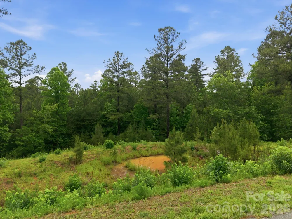 1626 Lake Vista Drive NE Connelly Springs, NC 28612
