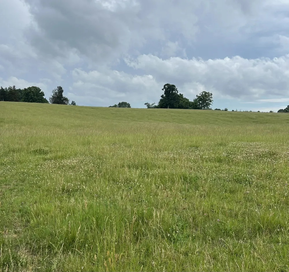 0 Bosham Rd Westmoreland, TN 37186