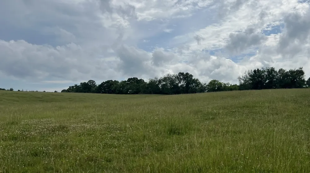 0 Bosham Rd Westmoreland, TN 37186