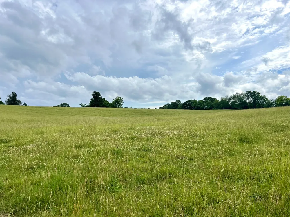 0 Bosham Rd Westmoreland, TN 37186