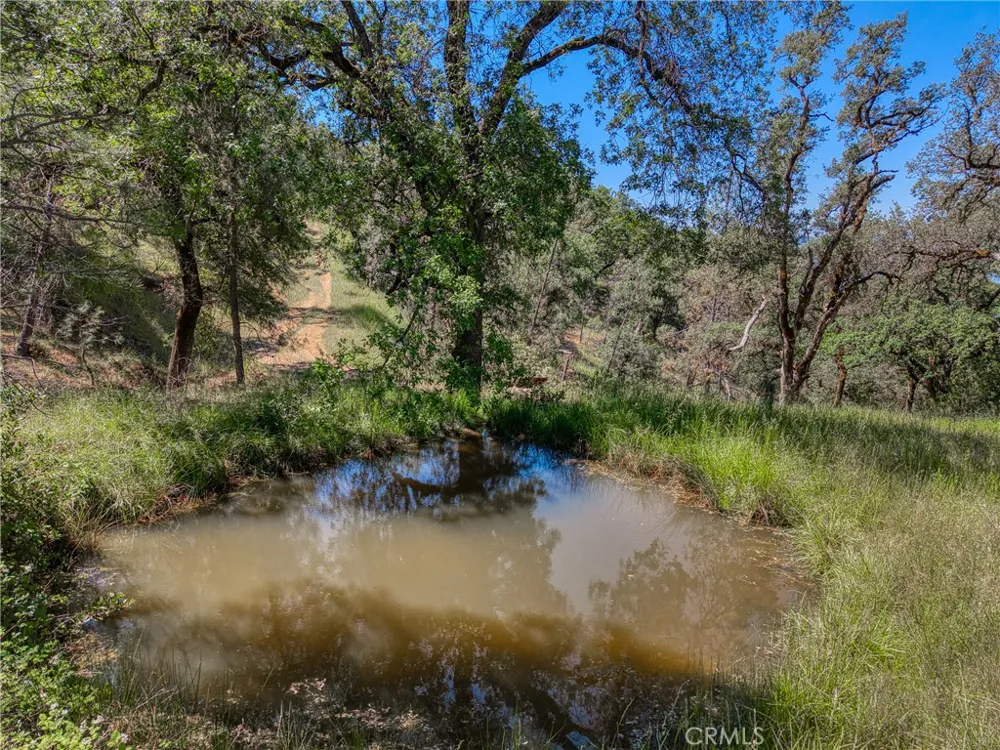 8520 E Highway 20 Lucerne, CA 95458