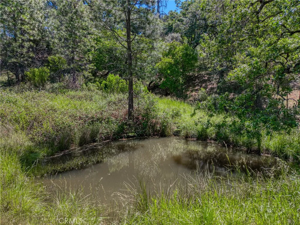 8520 E Highway 20 Lucerne, CA 95458