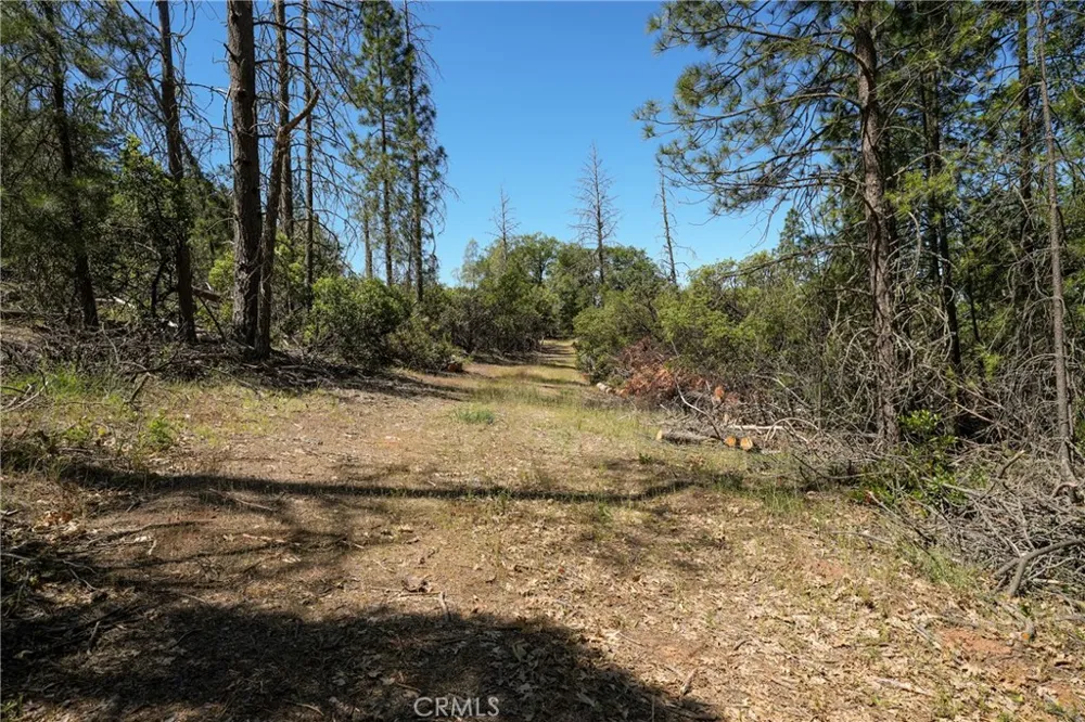 8520 E Highway 20 Lucerne, CA 95458