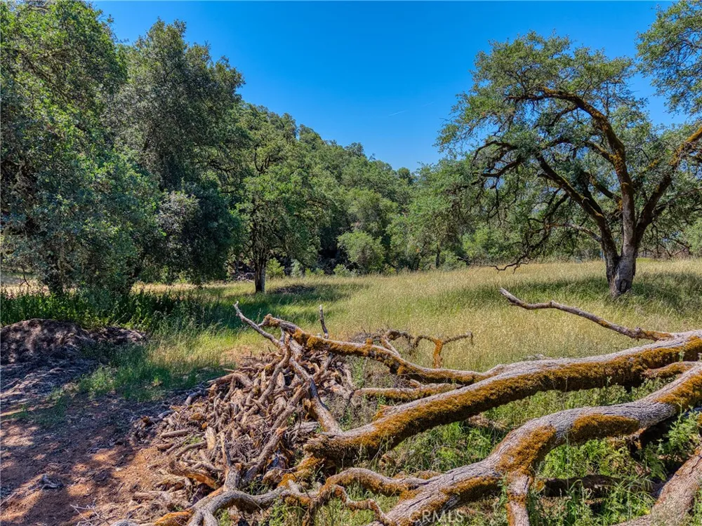 8520 E Highway 20 Lucerne, CA 95458