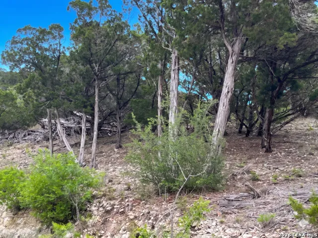 370 PRIVATE ROAD 1742 Mico, TX 78056