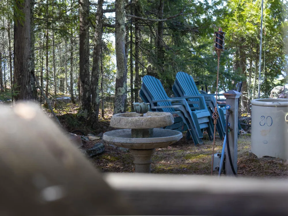 1911 Grindstone Island International Falls, MN 56649