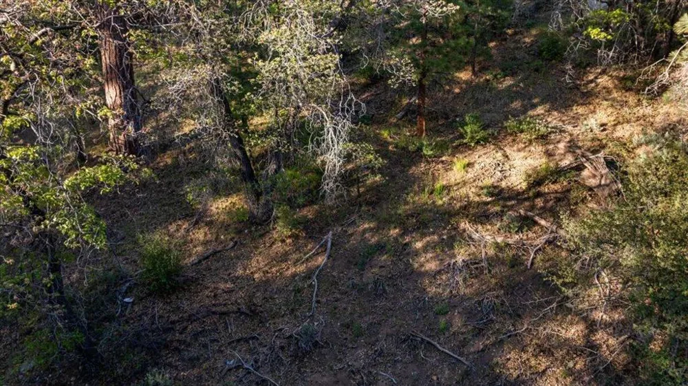 1230 Minton Avenue Big Bear, CA 92314